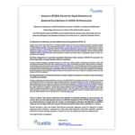 Whitepaper - Unyvero LRT/BAL
